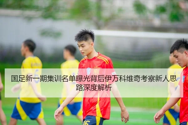 国足新一期集训名单曝光背后伊万科维奇考察新人思路深度解析